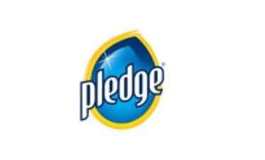Logo pledge